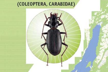 Новая книга