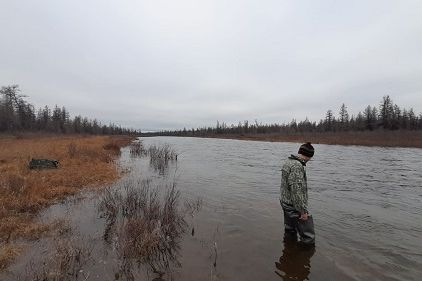 Мониторинг водных биологических ресурсов в зоне деятельности АЛРОСА