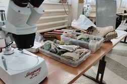 Неделя науки