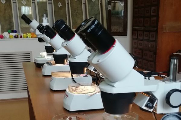 День открытых дверей 2021