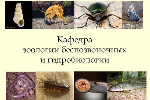 День кафедры зоологии беспозвоночных и гидробиологии