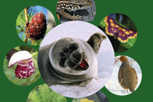 Новая книга