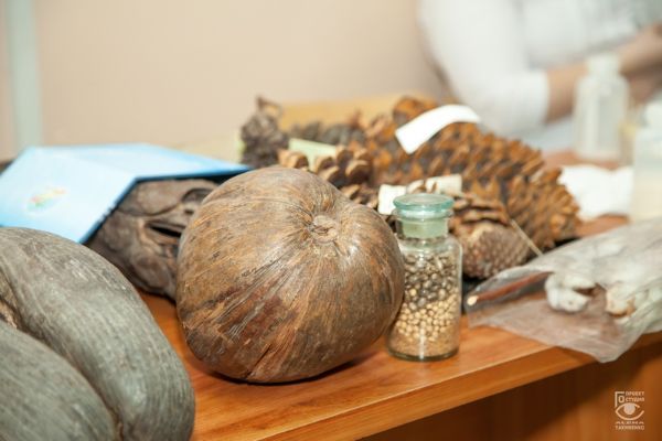 Познавательно о направлениях биологии