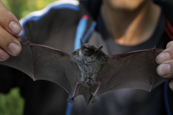 Экспедиция на Хамар-Дабан 2014 г.