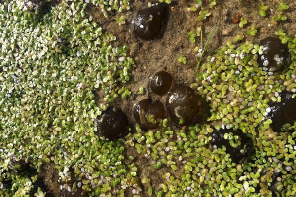 К горячим источникам Прибайкалья.