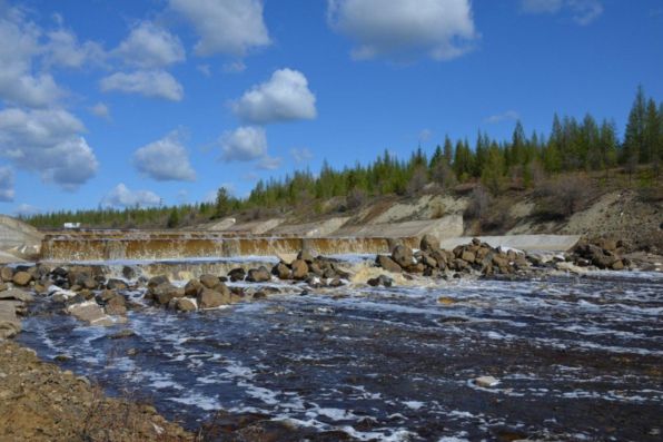 Исследование водных биологических ресурсов и среды их обитания в зоне деятельности АЛРОСА