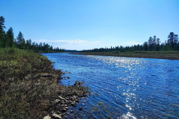 Мониторинг водных биологических ресурсов в зоне деятельности АЛРОСА (лето 2024г.)