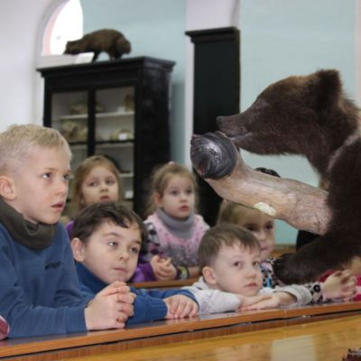 Экскурсия "Животные и птицы Иркутской области в зимний период"