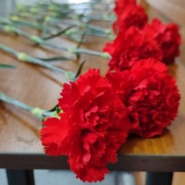 Возложение цветов к мемориальной доске погибшим в годы войны студентам и преподавателям - биологам 4 мая 2023г.