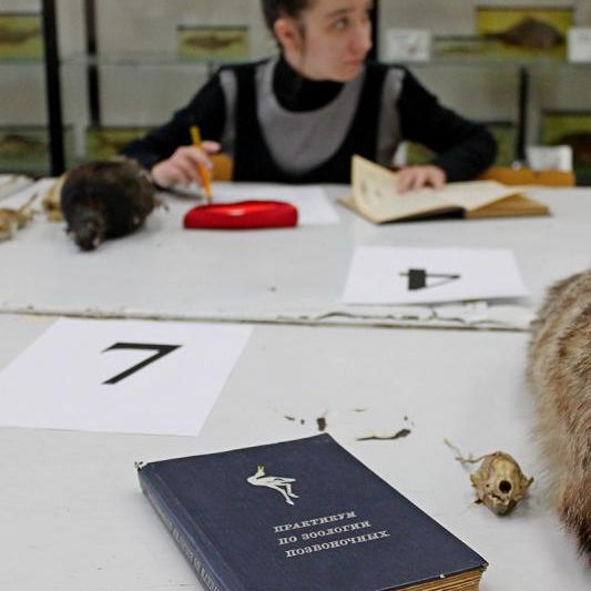 Региональный этап ХХХ Всероссийской олимпиады школьников по биологии